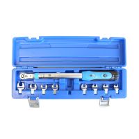 10pc Interchangeable Head Screen Torque Wrench Set